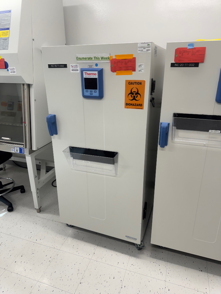 Image of Thermo HERAtherm Refrigerated Incubator